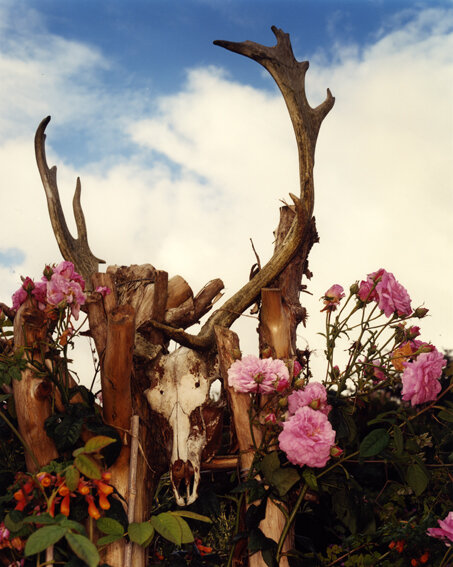 skull with roses.jpg