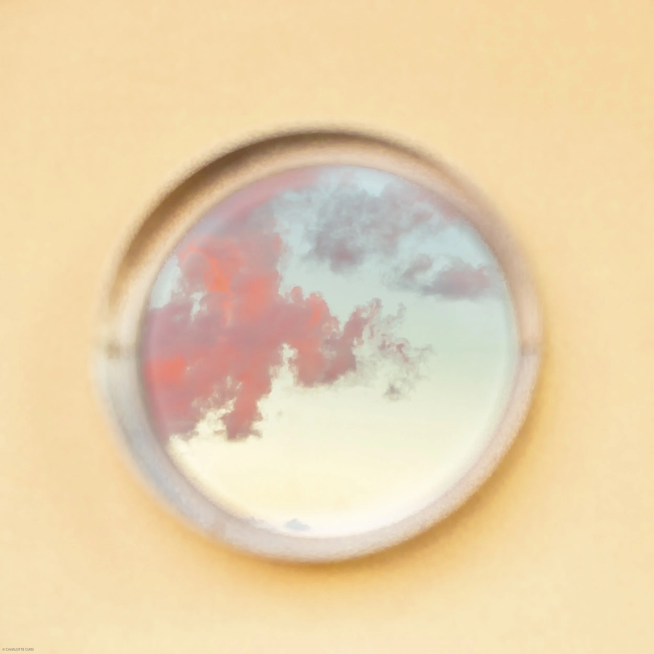 AF6I9845-Edit-1.jpg