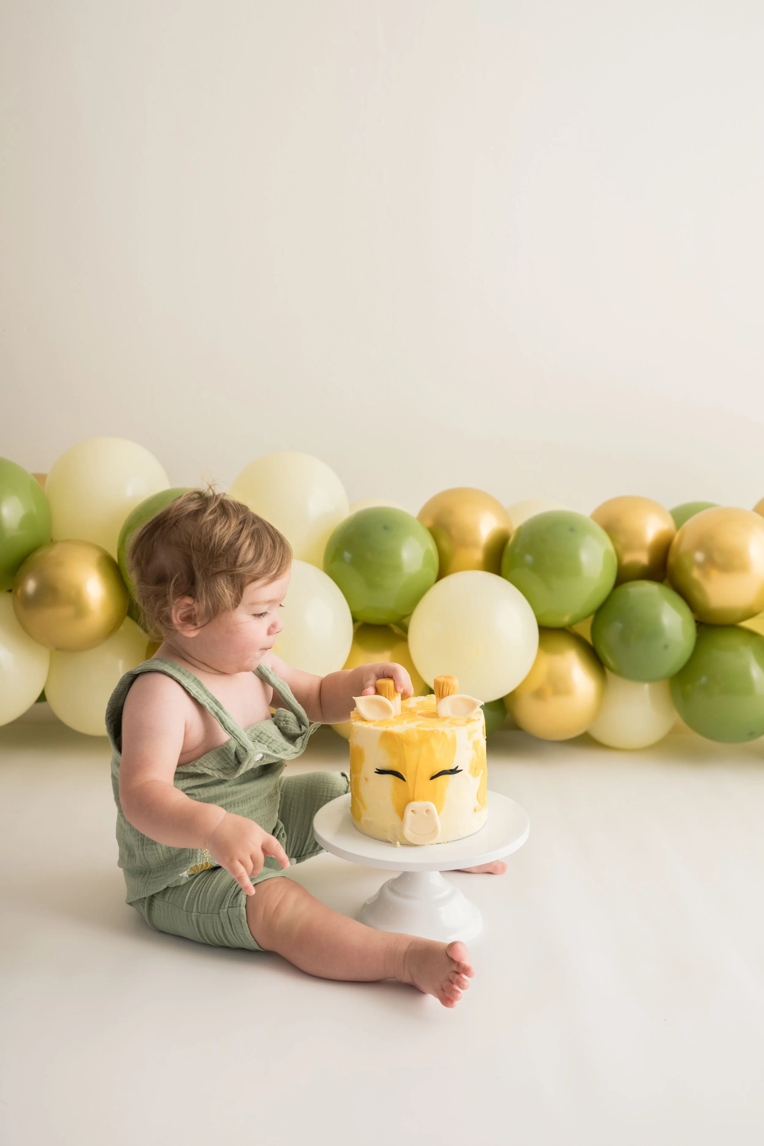 firstbirthday-hannah-elizabeth-photography-57.jpg