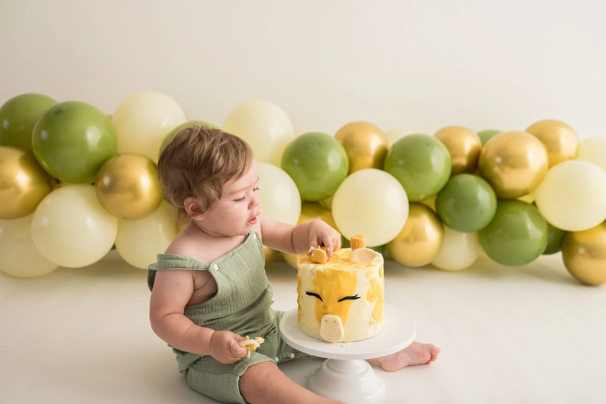 firstbirthday-hannah-elizabeth-photography-62.jpg