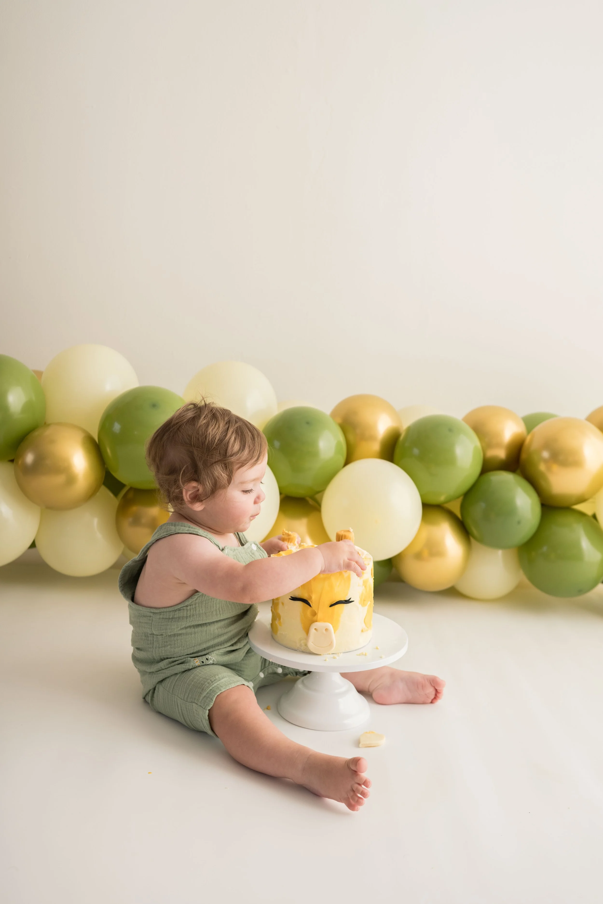 firstbirthday-hannah-elizabeth-photography-68.jpg