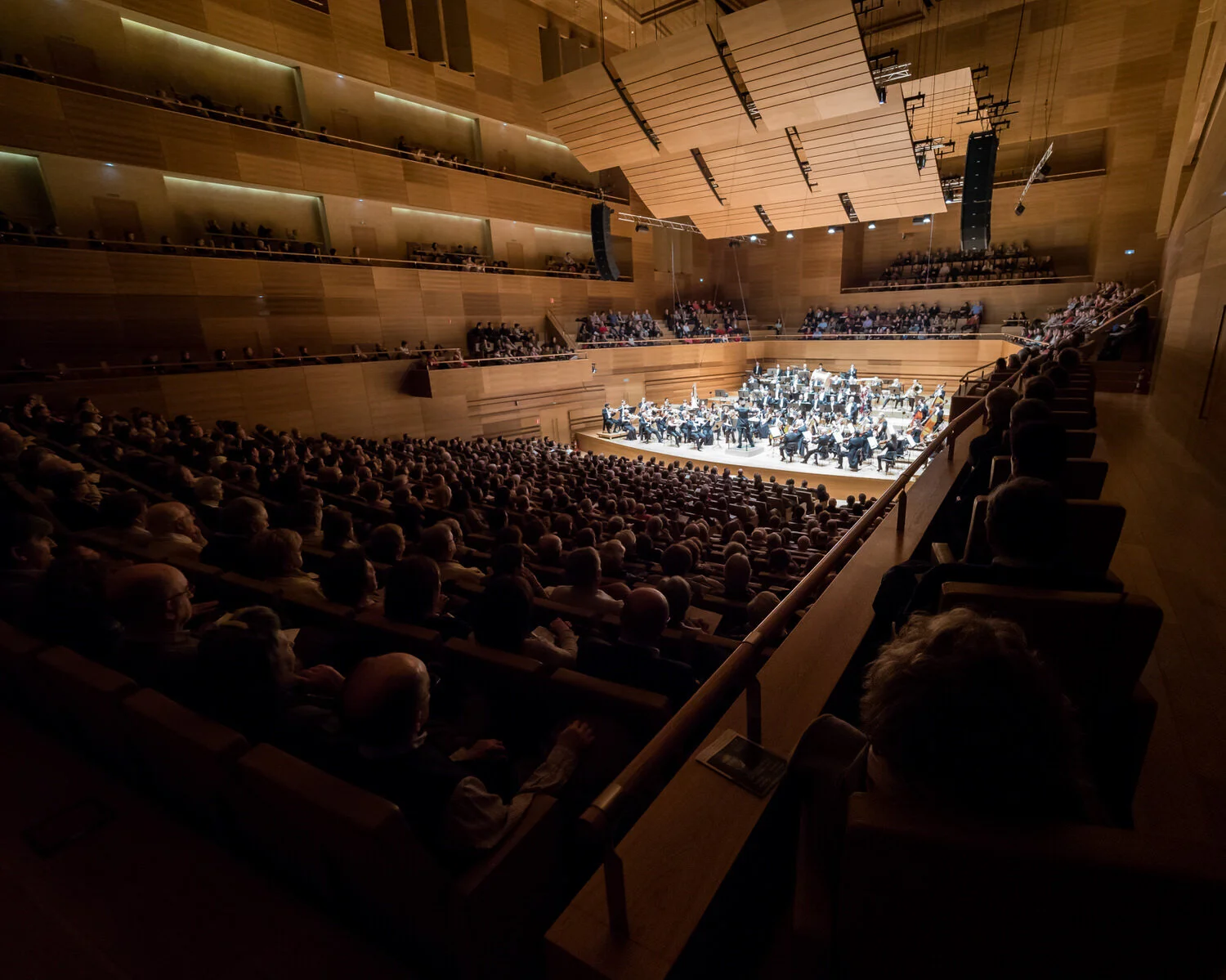 Photo by OSCyL / CCMD Photogenic