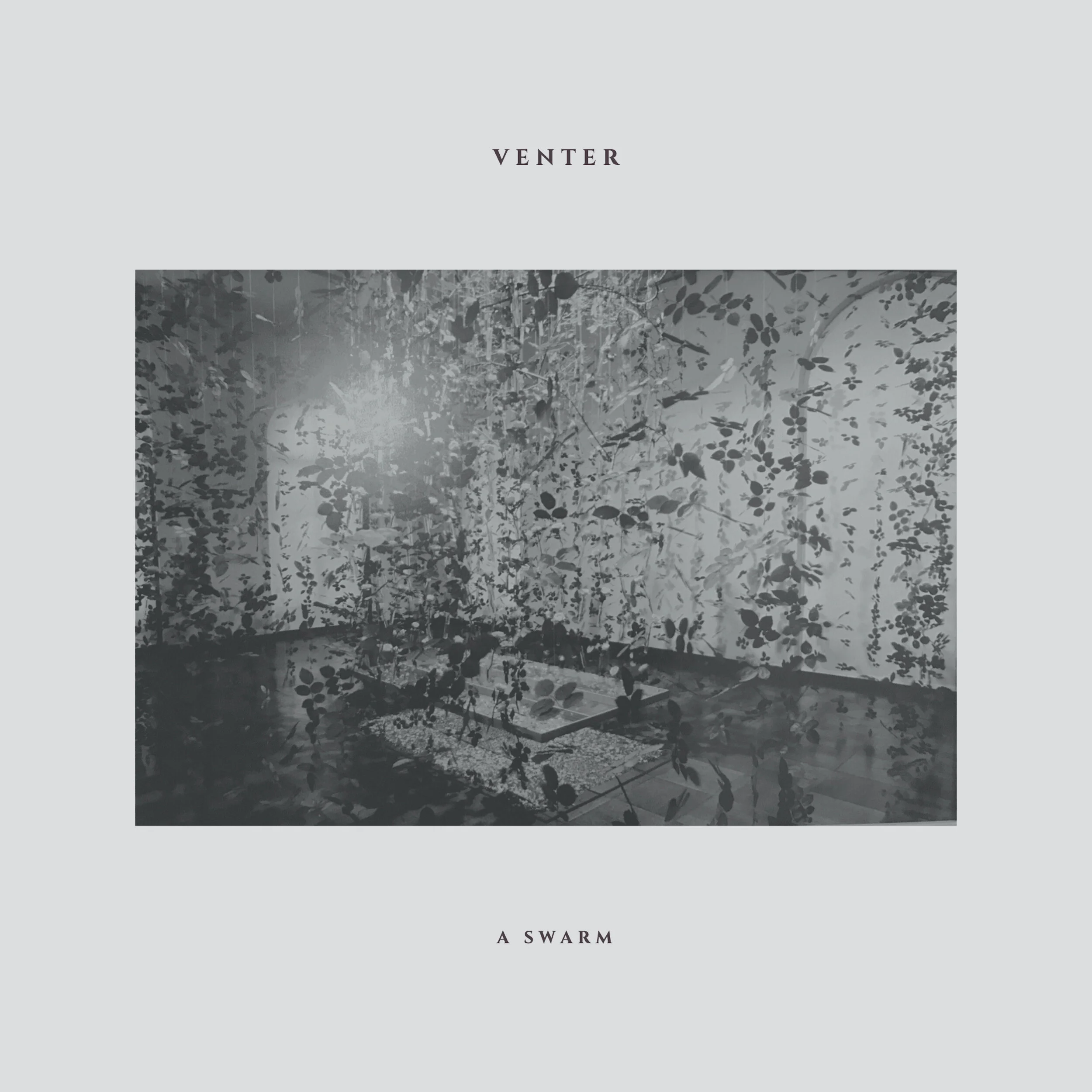 VENTER - A SWARM (SINGLE 2020)