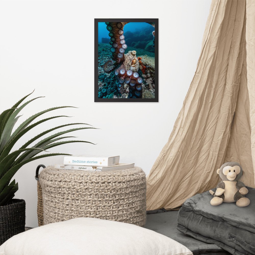 enhanced-matte-paper-framed-poster-(in)-black-12x16-front-61c96eda5644c.jpg