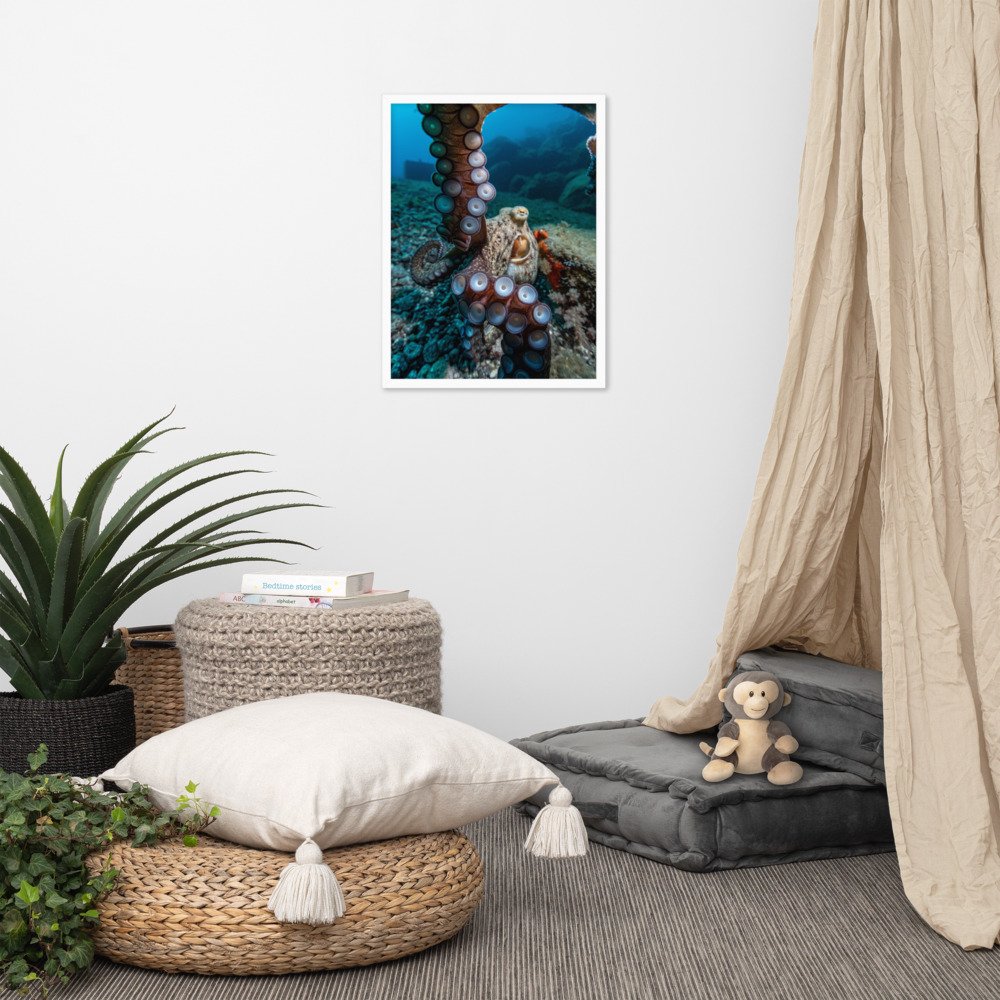 enhanced-matte-paper-framed-poster-(in)-white-18x24-front-61c96eda56719.jpg