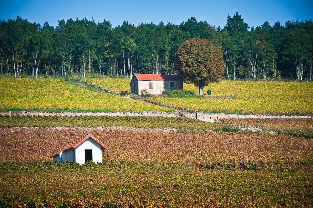 Cruchandeau jm-automne-28.jpeg