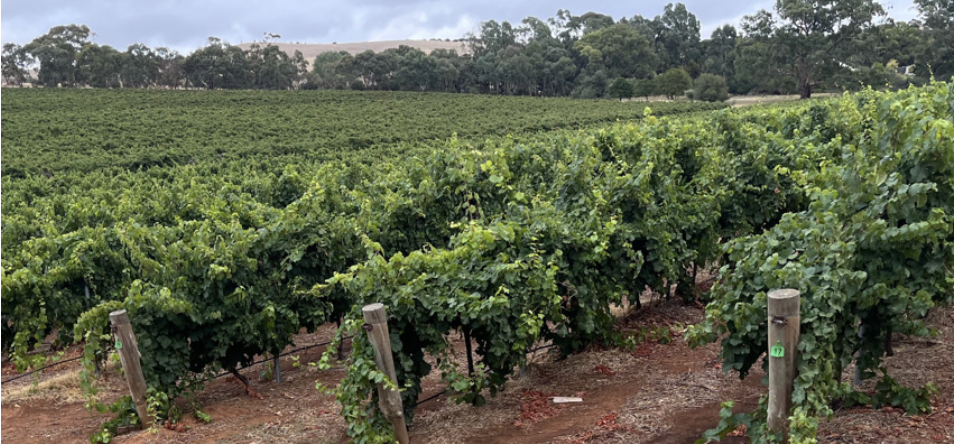 Screenshot 2026-04-29 at 14.11.39.png