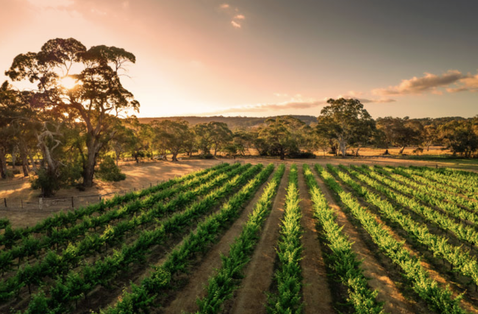 Screenshot 2026-04-29 at 14.11.30.png