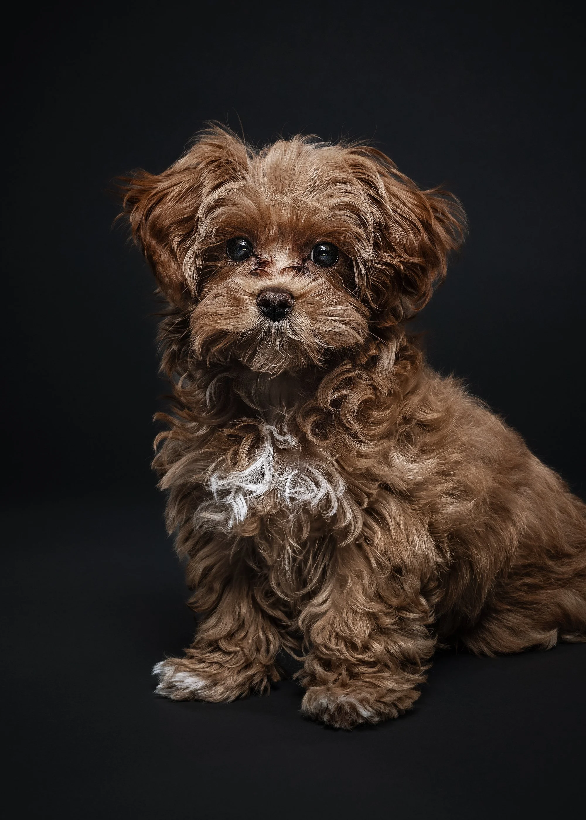 Winnie_IMG_0214_new_actions2.jpg