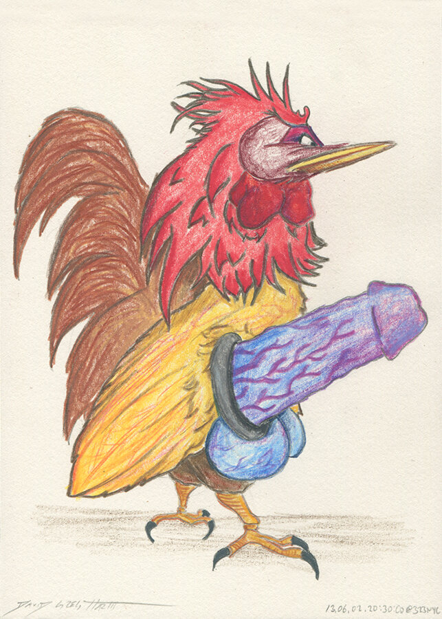 Cock Drawing #CD130602203000 Colored Pencil on paper 177.8mm x 127mm / 7”x5” June 2, 2013 New York City © David Greg Harth