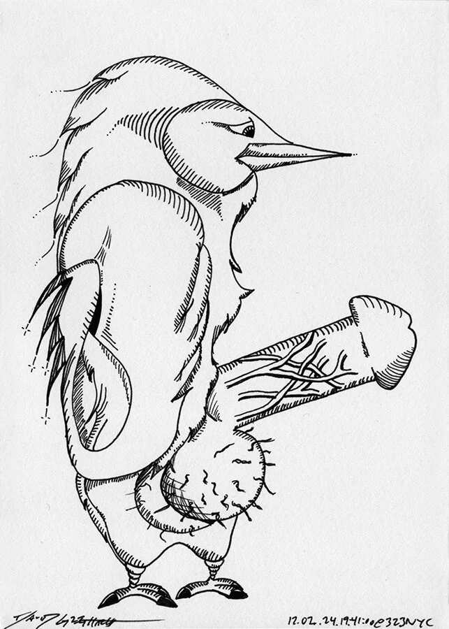 Cock Drawing #CD120224194100 Ink on paper 177.8mm x 127mm / 7”x5” February 24, 2012 New York City © David Greg Harth