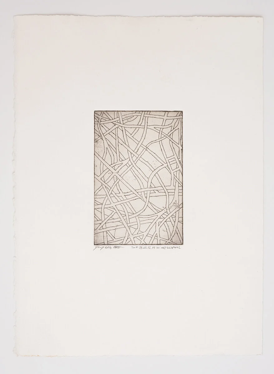 Thinkways #080512190000 Aquatint Etching, Graphic Chemical Ink on Hahnemühle Paper Paper: 381mm x 279.4mm / 15” x 11” Image: 152.4mm x 101.6mm / 6” x 4” May 12, 2008 New York, New York 08.05.12.19:00:00@LESPNYC  © David Greg Harth