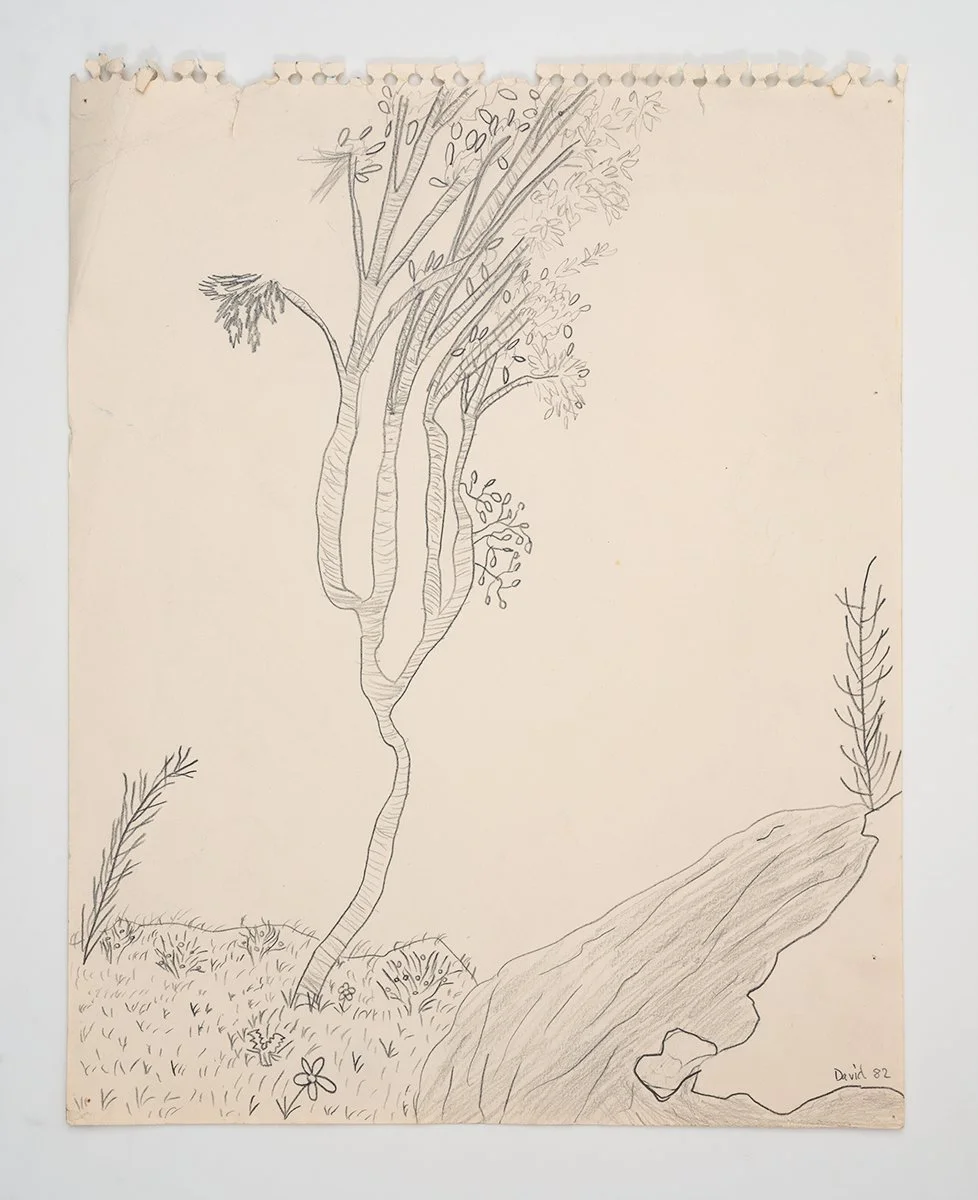 harth_tree_and_stream_web.jpg