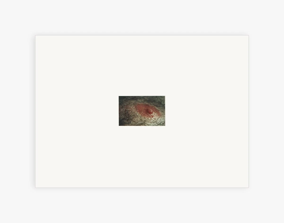 harth_donors_5x7_set_6.jpg
