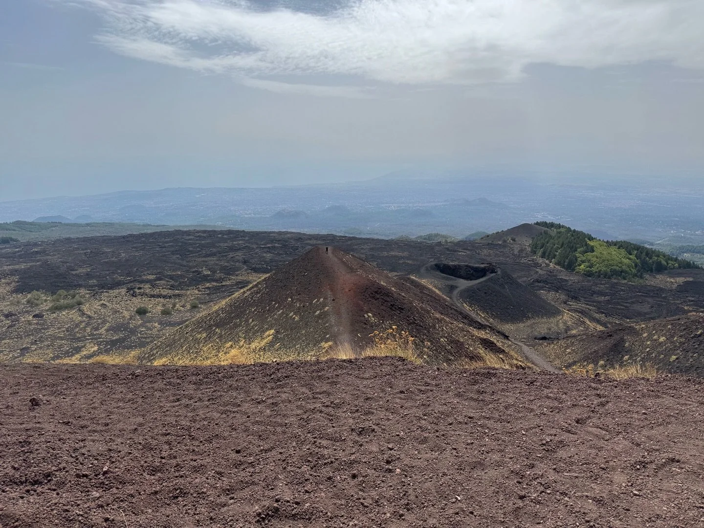 &mdash;⁣⁣⁣⁣⁣⁣⁣⁣⁣⁣⁣⁣⁣
Today is Tuesday. Here I am in my Tuesday shirt.&nbsp;#art&nbsp;#davidgregharth&nbsp;#tuesday
&mdash;⁣⁣⁣⁣⁣⁣⁣⁣⁣⁣⁣⁣⁣
A few months ago I made a trip to Sicily - While I was there I was often off the grid. I stayed off social media. 