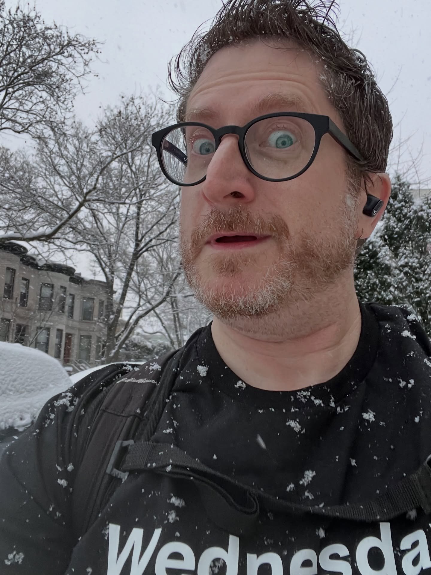 Today is Wednesday. Here I am in my Wednesday shirt. #art #davidgregharth #dayoftheweek