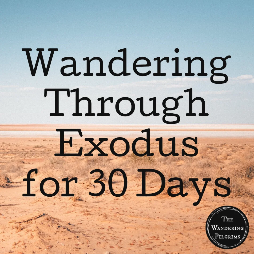 Wandering Through Exodus for 30 Days