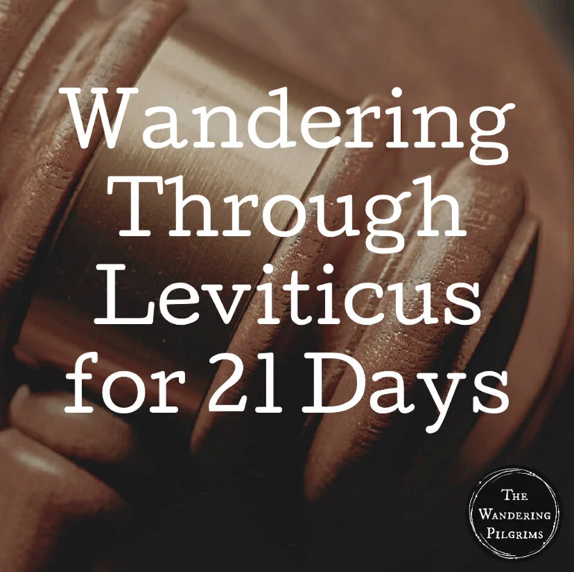 Wandering Through Leviticus for 21 Days