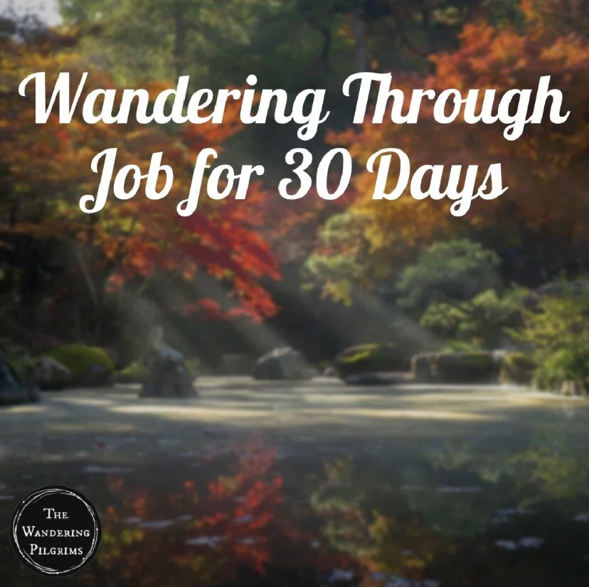 Wandering Through Job for 30 Days