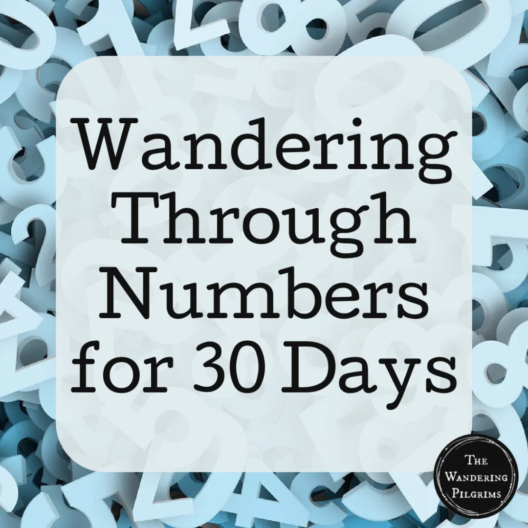 Wandering Through Numbers for 30 Days