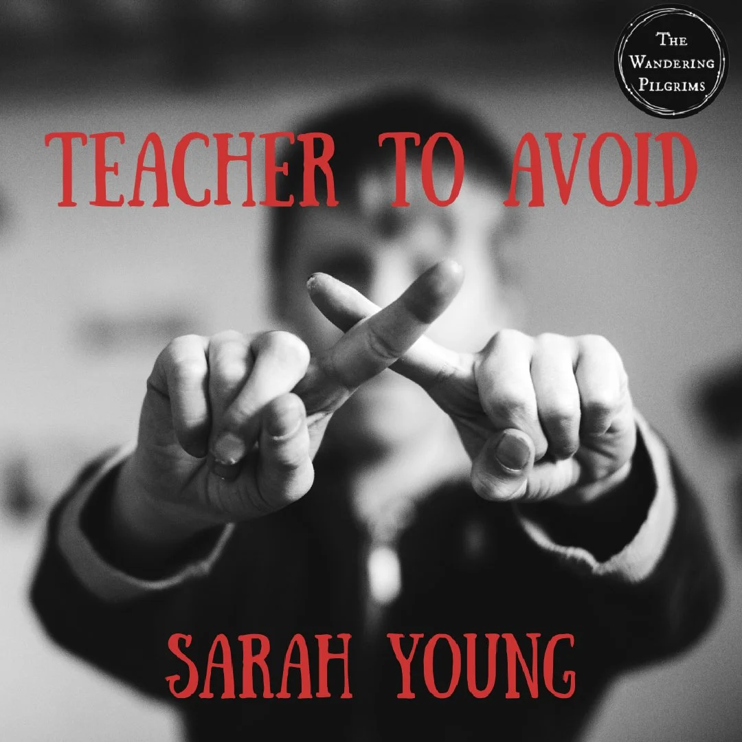 Teacher to Avoid - Sarah Young