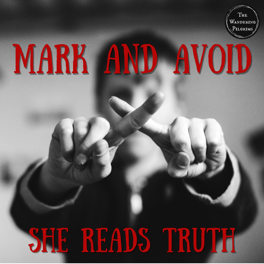 Things to Avoid: She Reads Truth