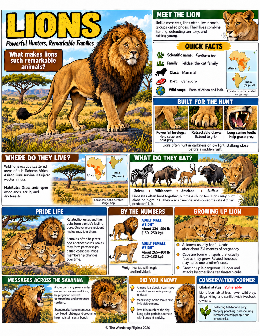 lions-comic.png