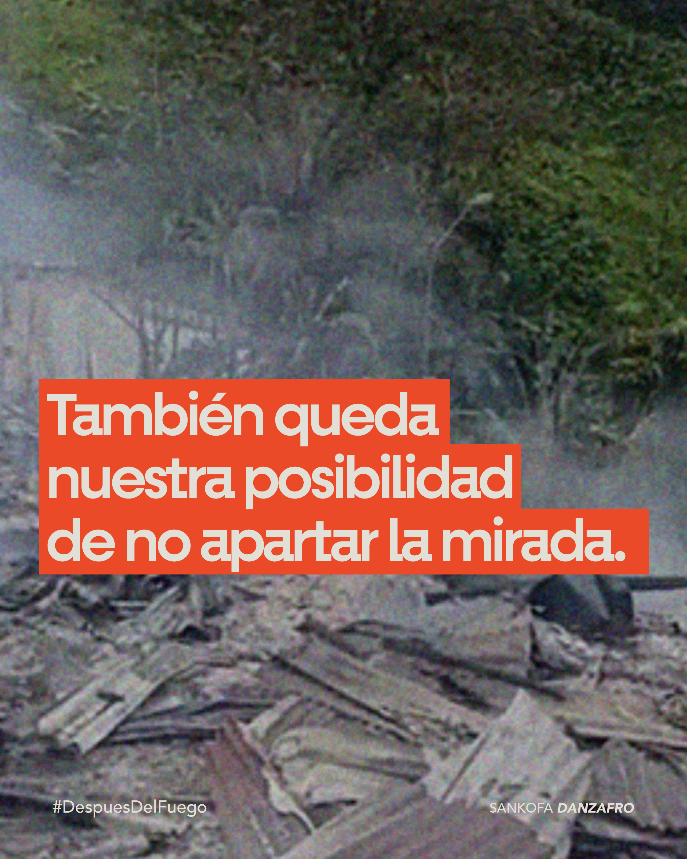 QUIBDO-campaña-14.png
