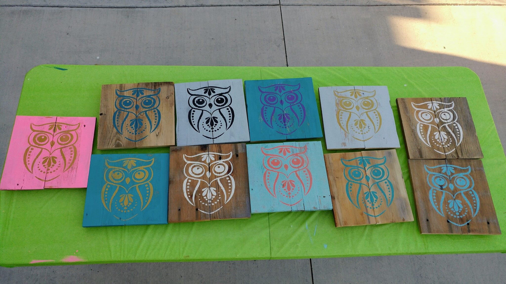 Owl