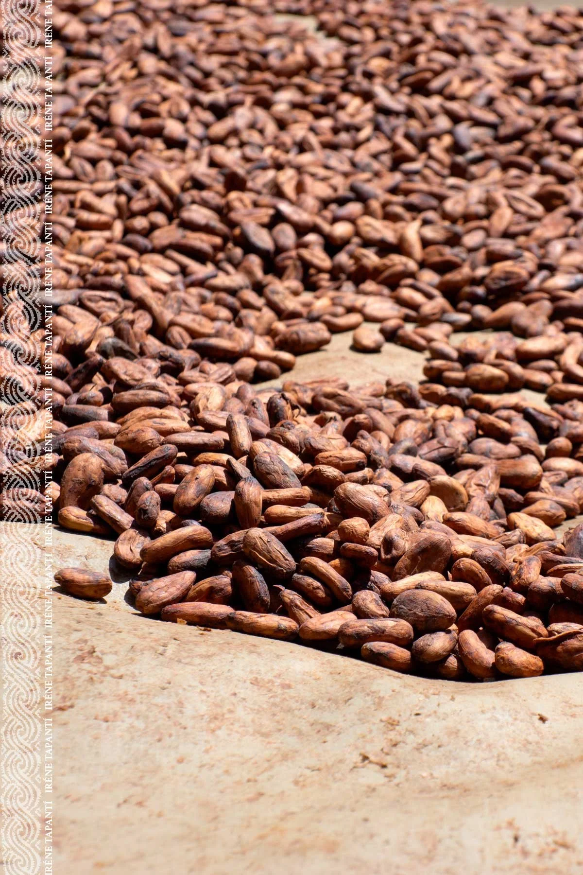 irene-tapanti-cacao-sagrado-sin-apropriación-cultural-2.jpg