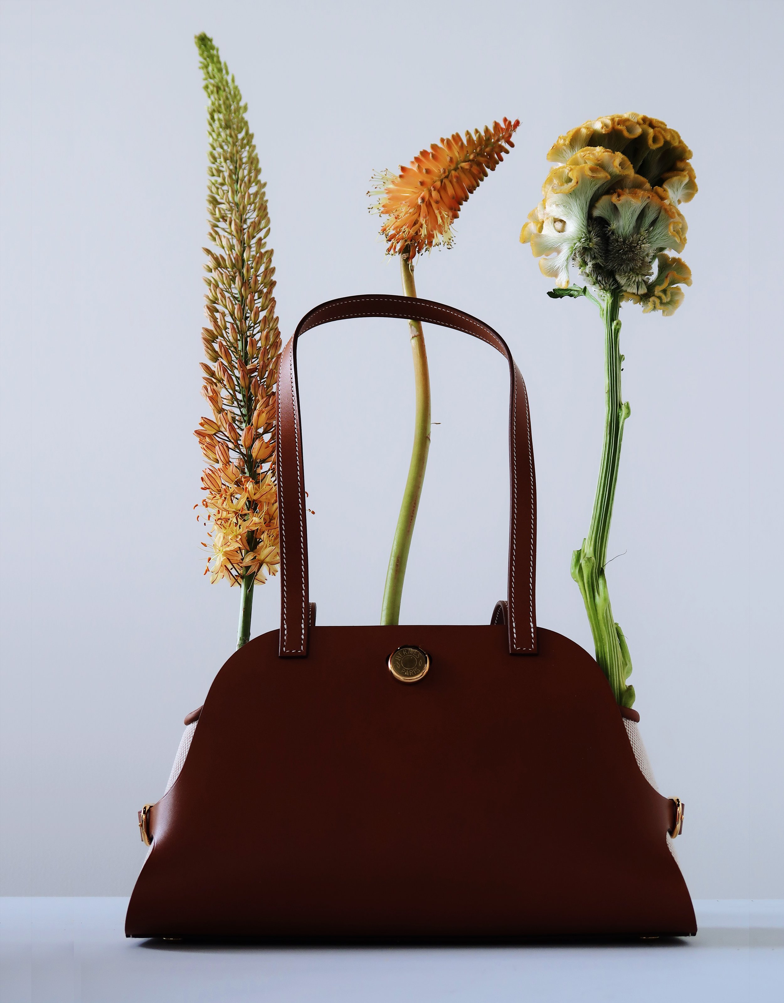 ELLE X HERMES