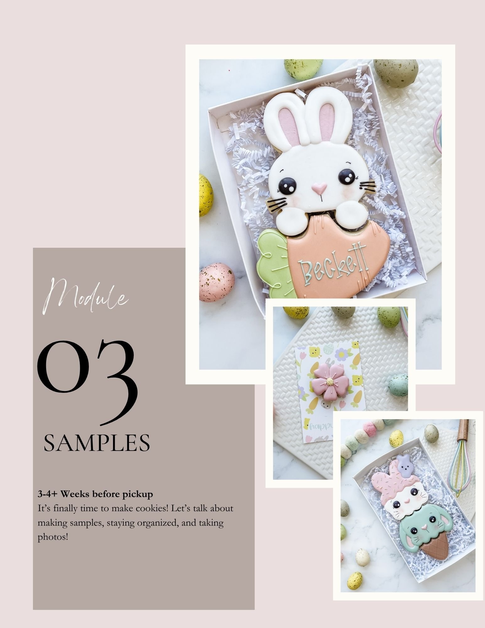 Samples Module 3.jpg