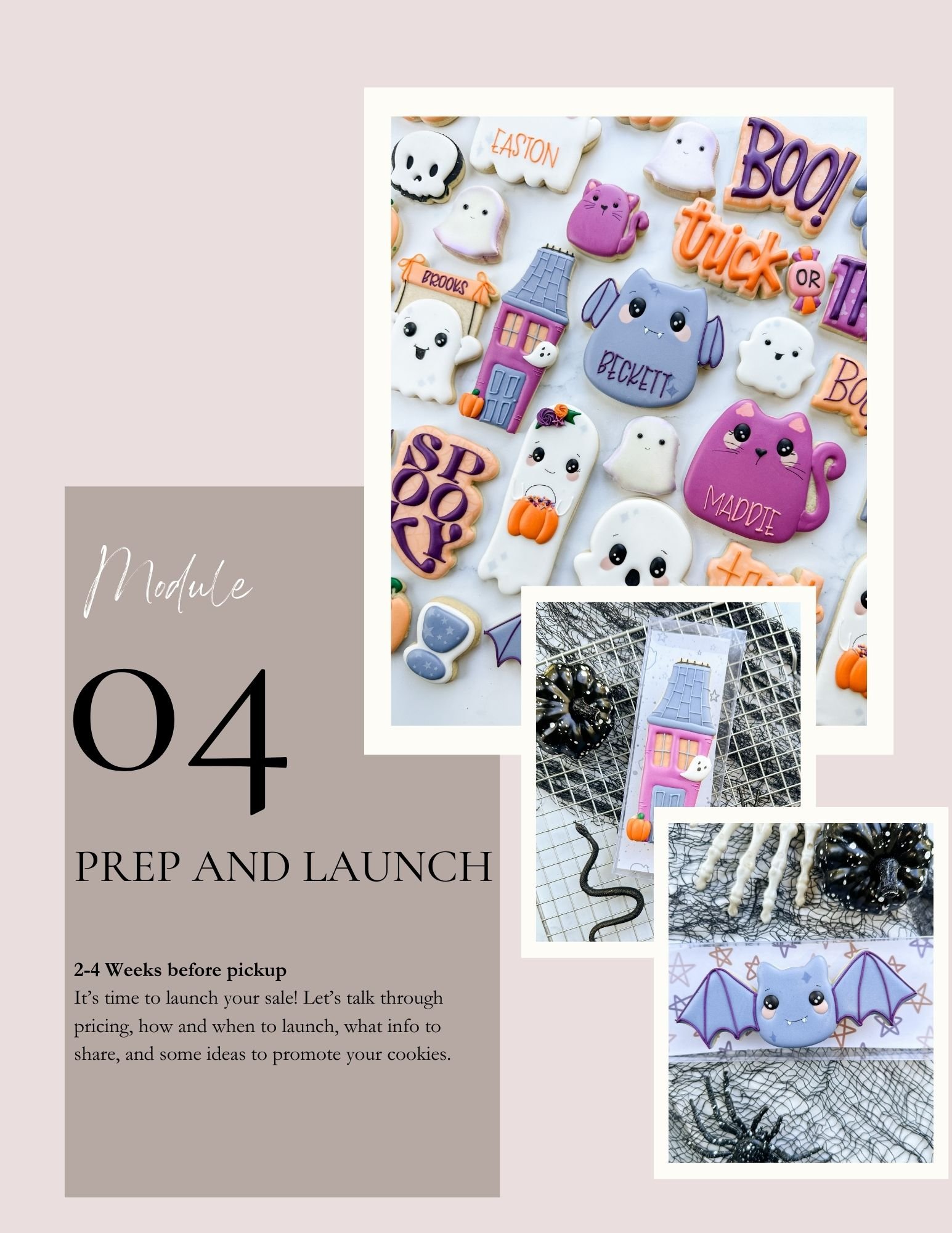 Prep and Launch Module 4.jpg