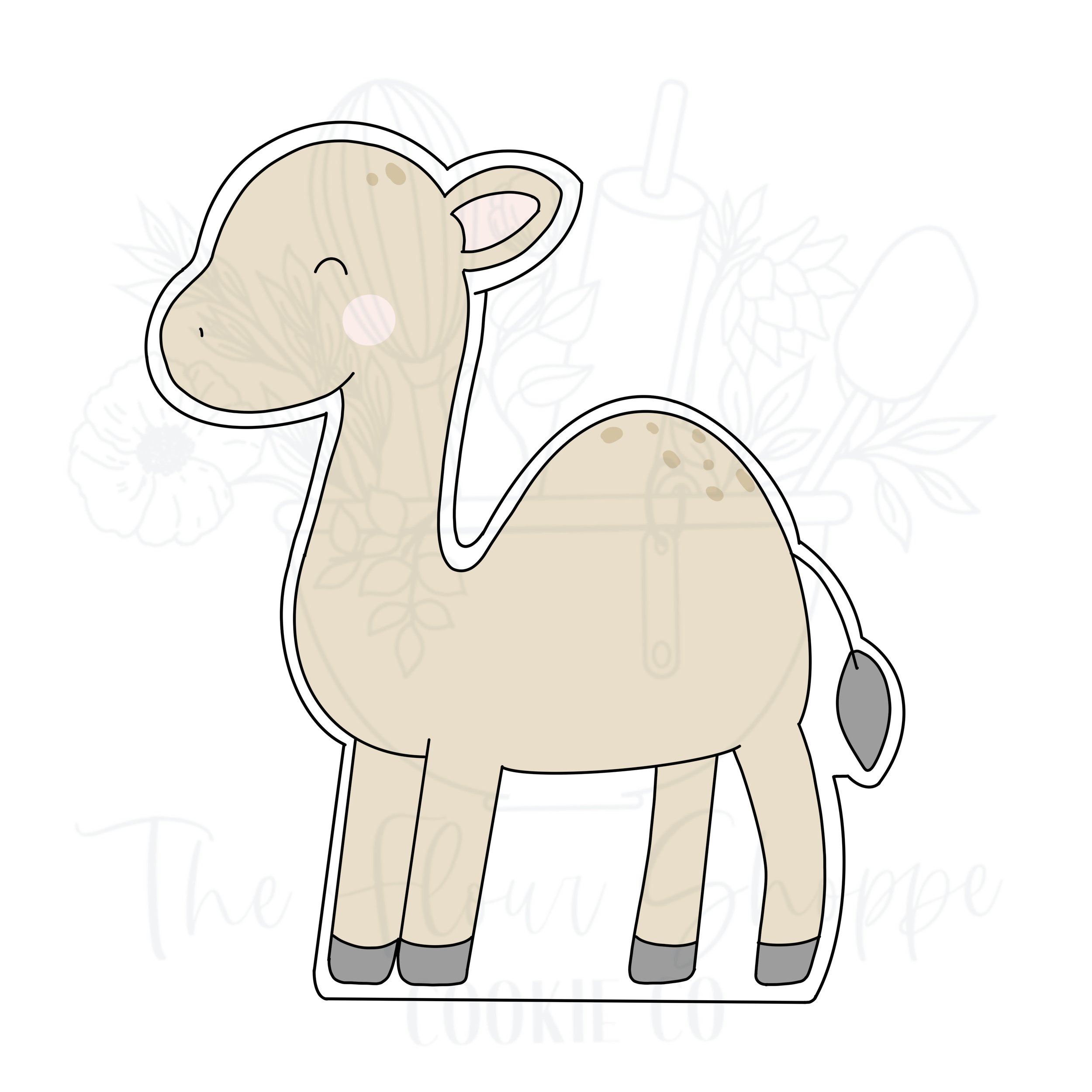 Camel_1.jpg