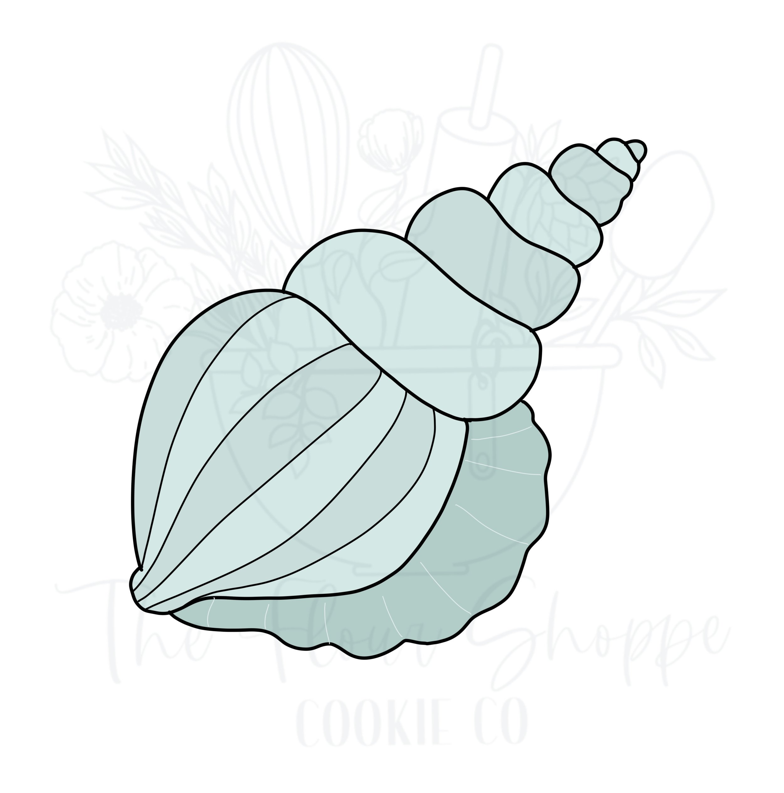 Shell_4.jpg