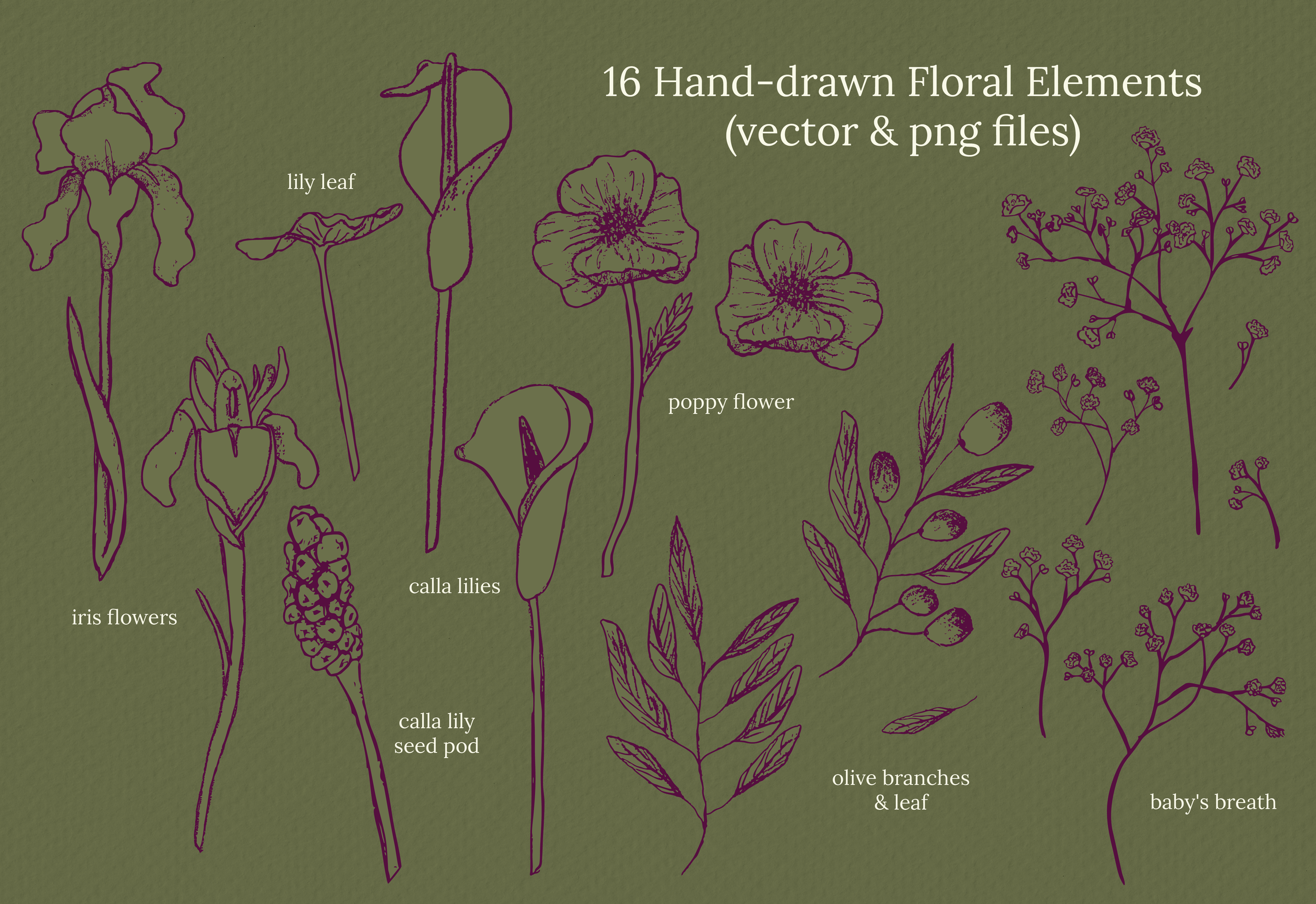 Shami Page 2@300x-8.png