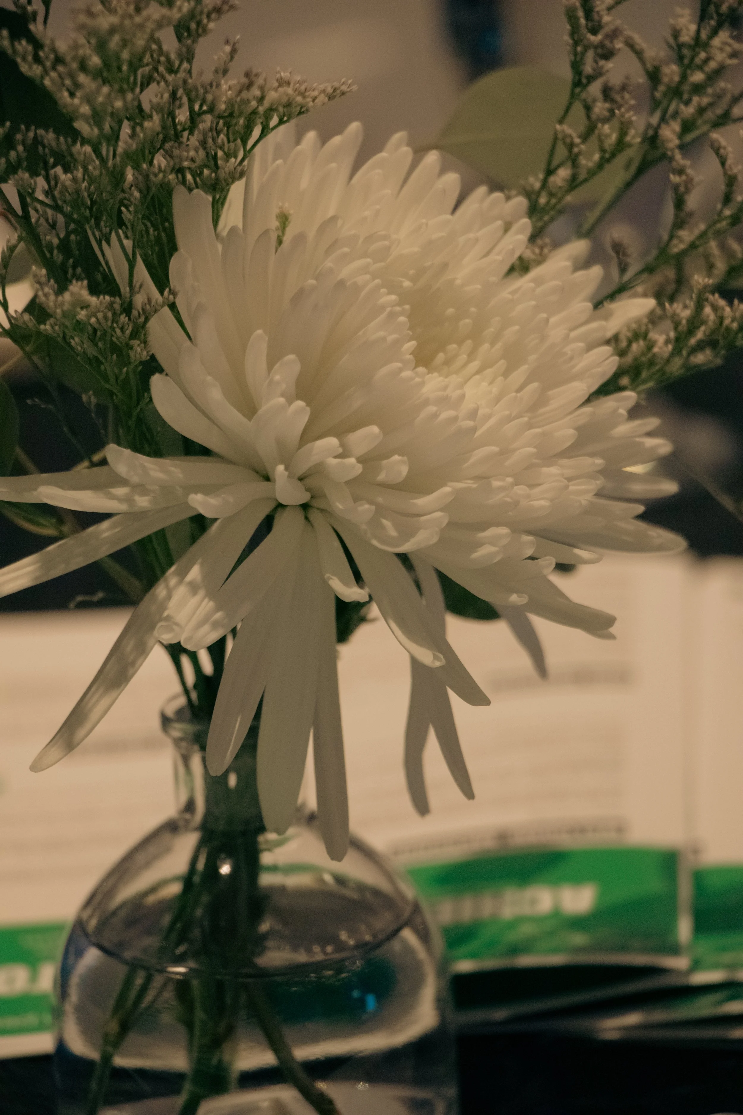 10_18_24 MPP Gala-501.jpg