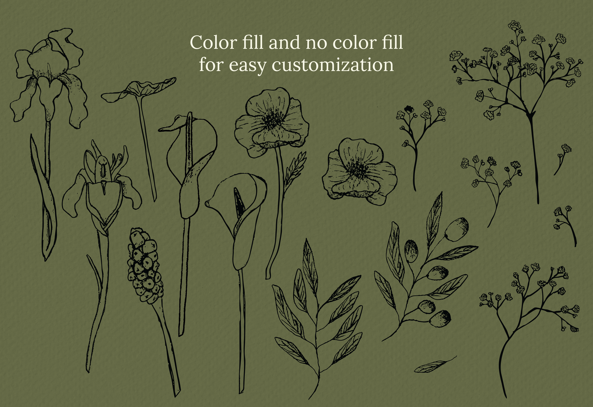 Shami Page 3@300x-8.png