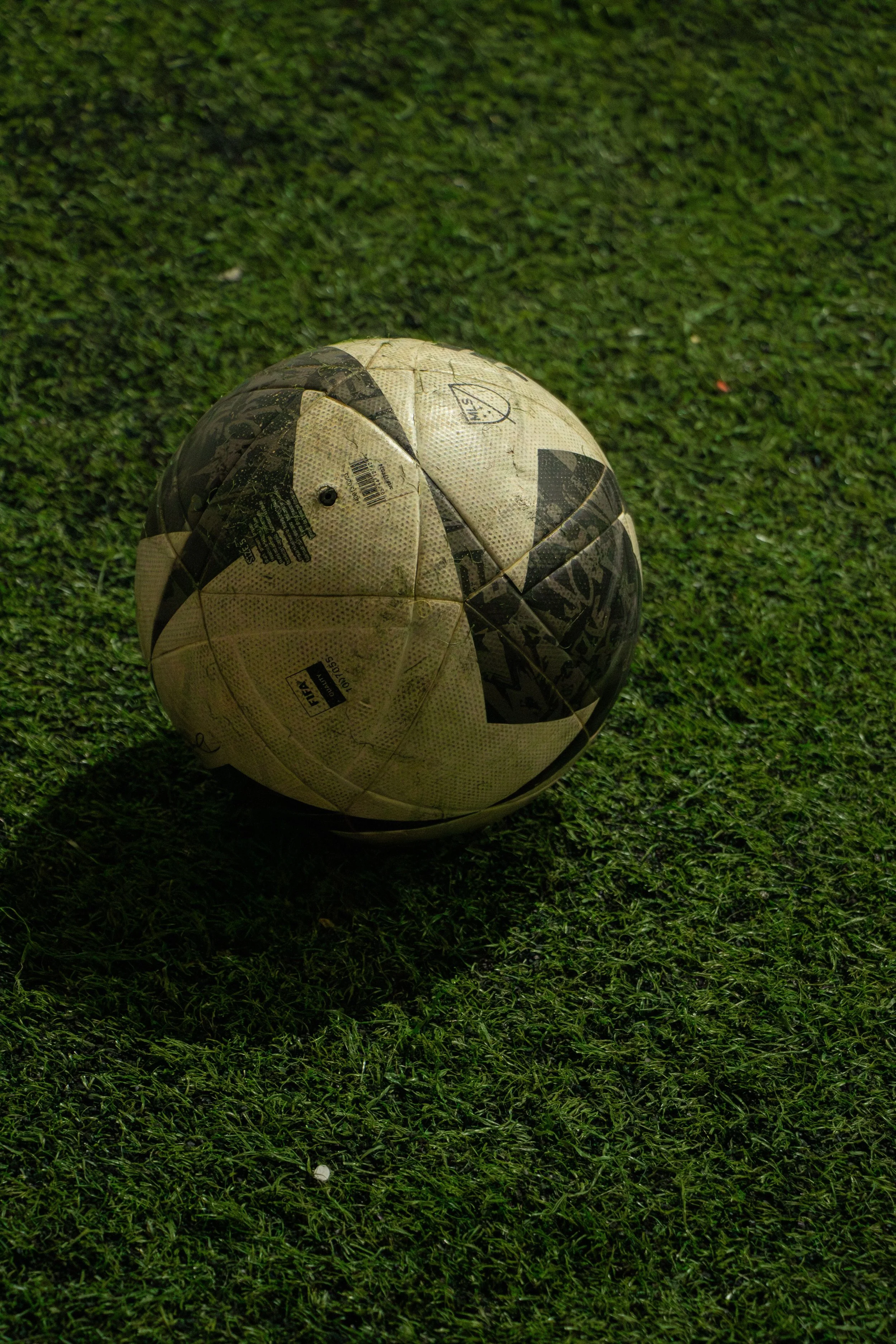 Goals for Gaza_DS_12.jpeg