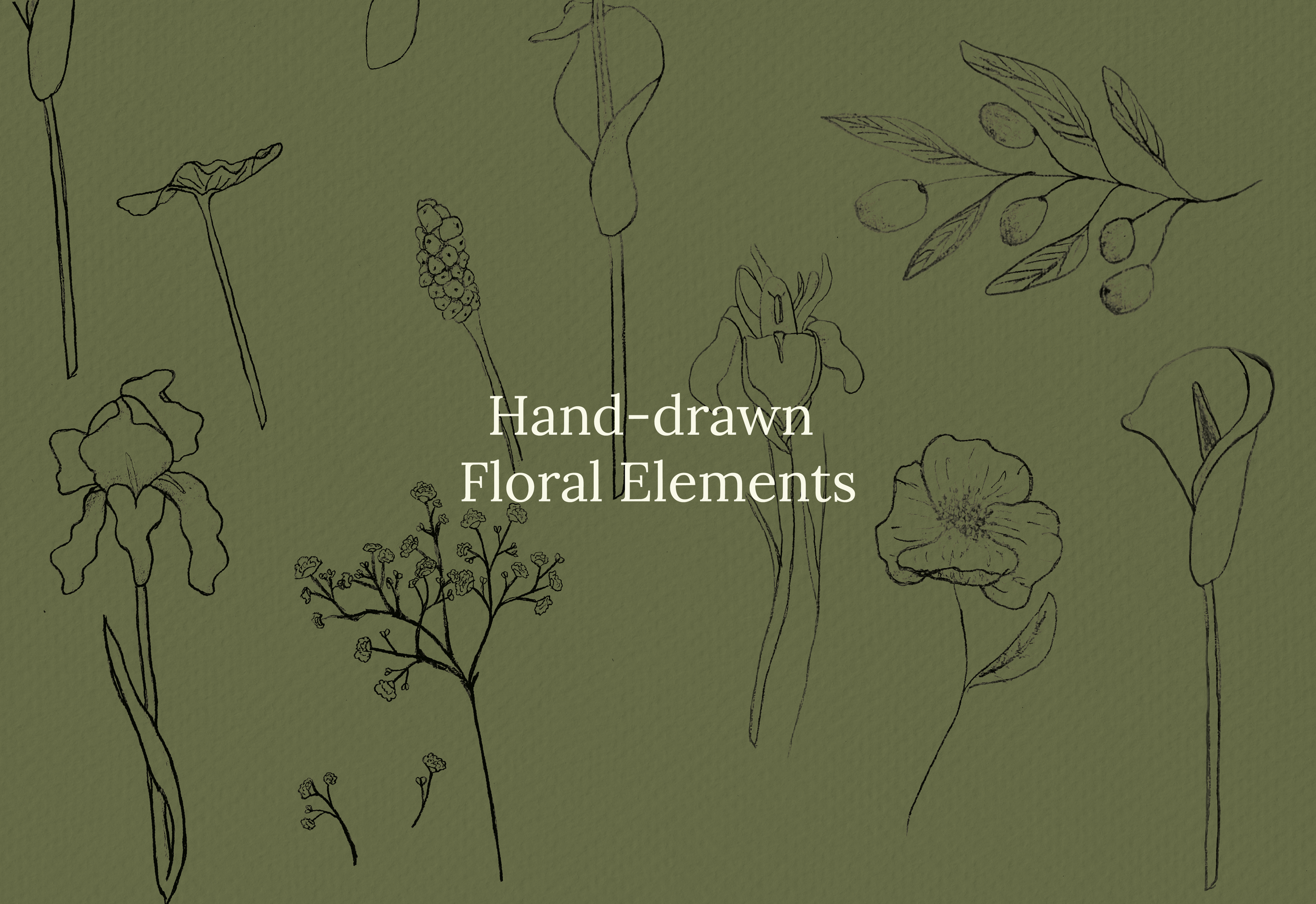 Shami Page 1@300x-8.png