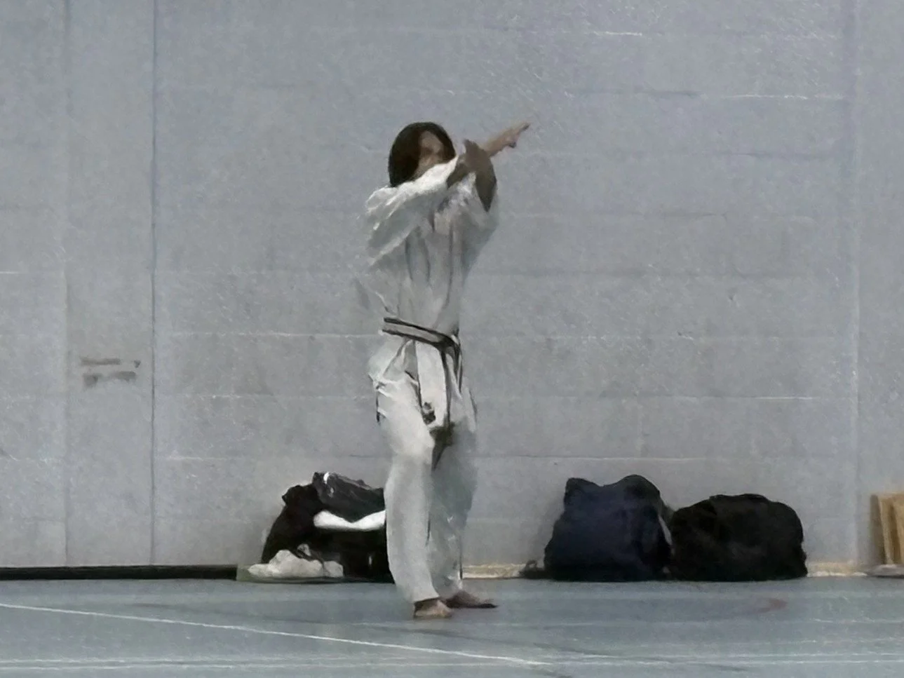 Yasuki Junro Nidan.JPEG