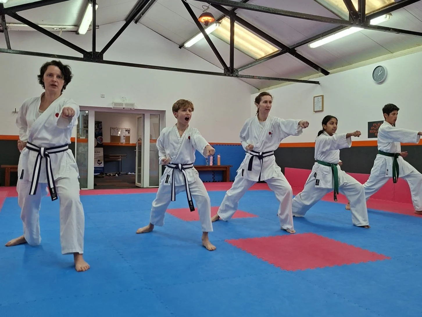 Green and purple basics.jpeg