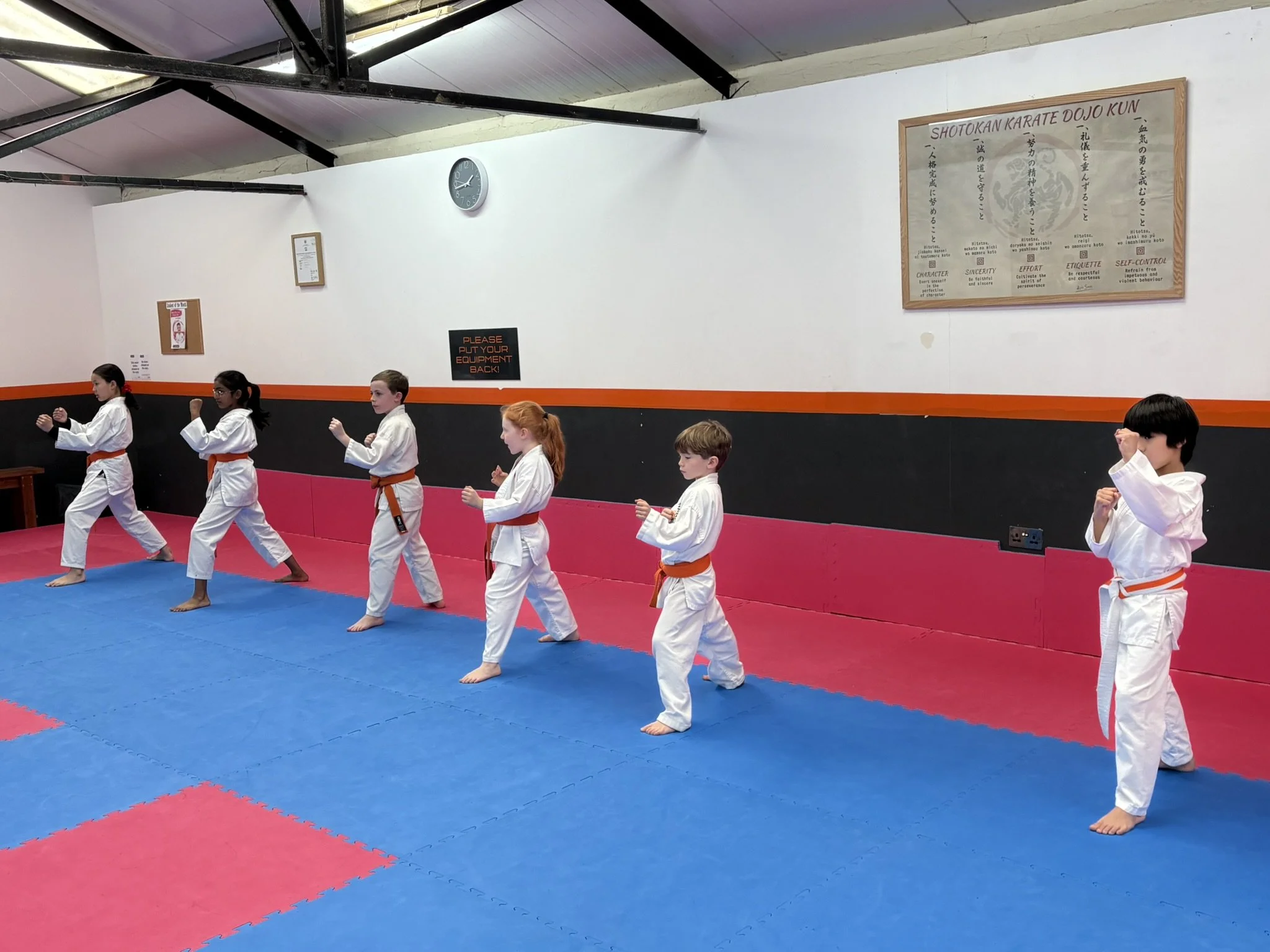 Orange belt kihon 2.JPEG