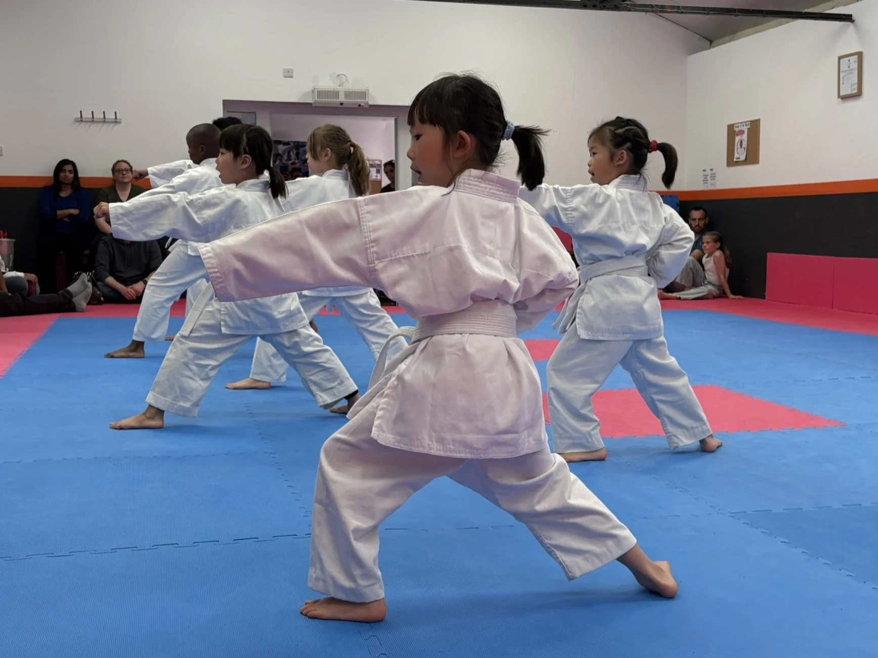White belt kihon.JPEG