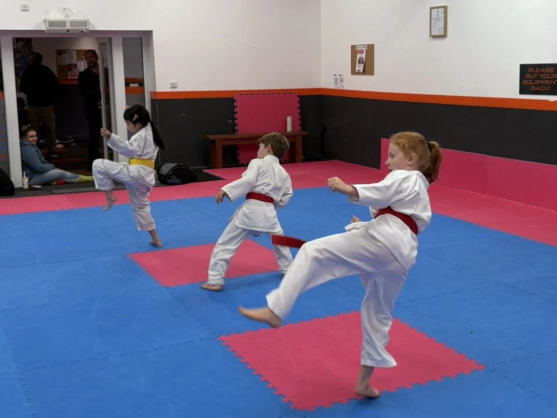 Red belt basics.JPEG