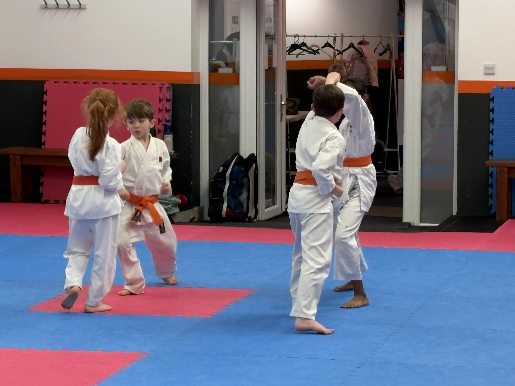 Orange belt 5 step 3.JPEG