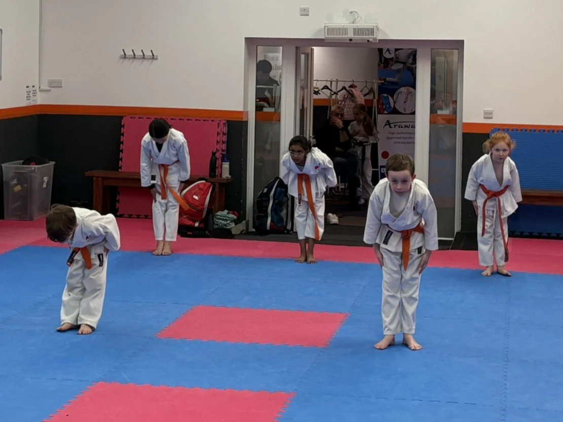 Orange belt kata 3.JPEG