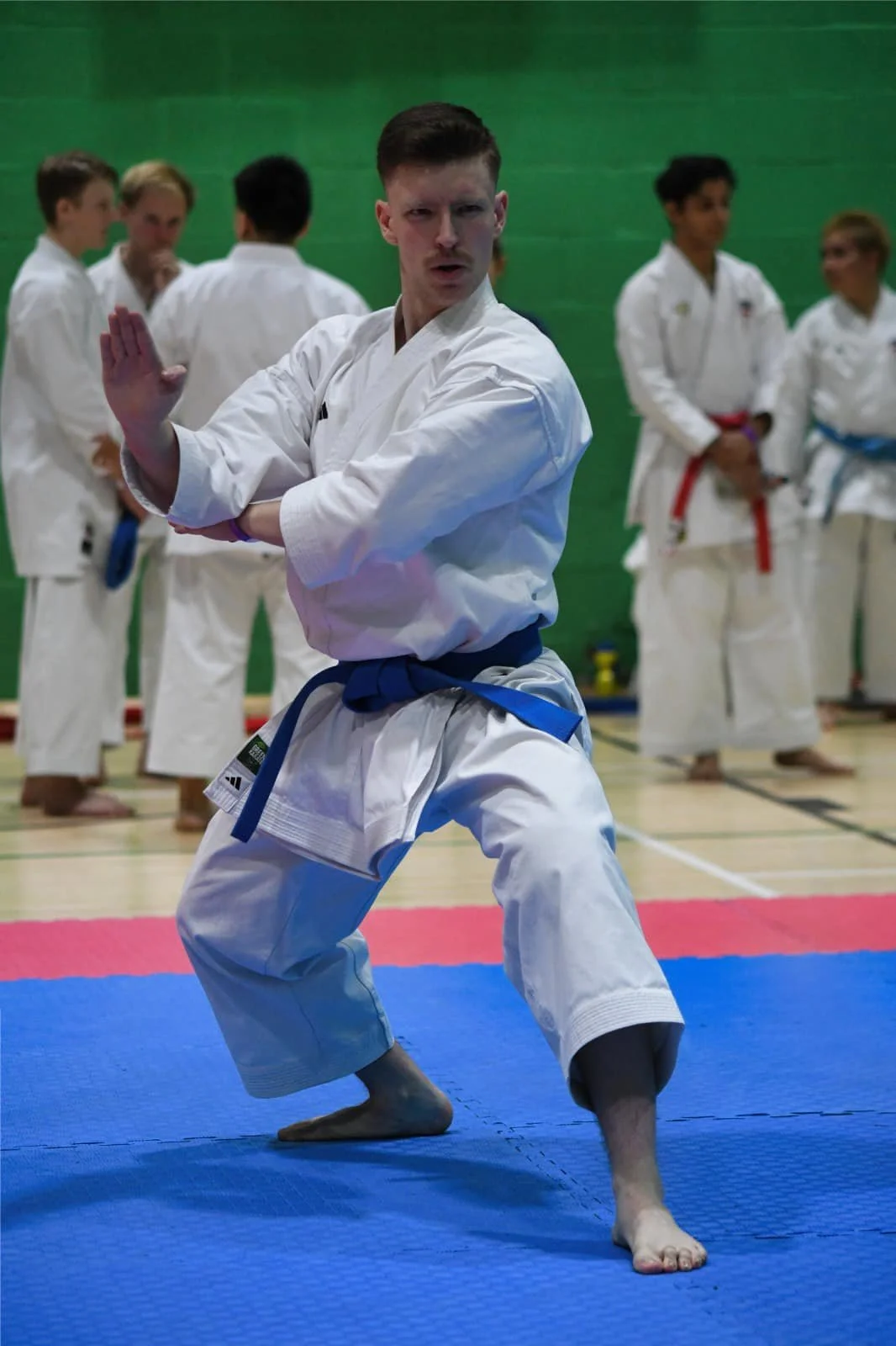 Oliver kata.jpg