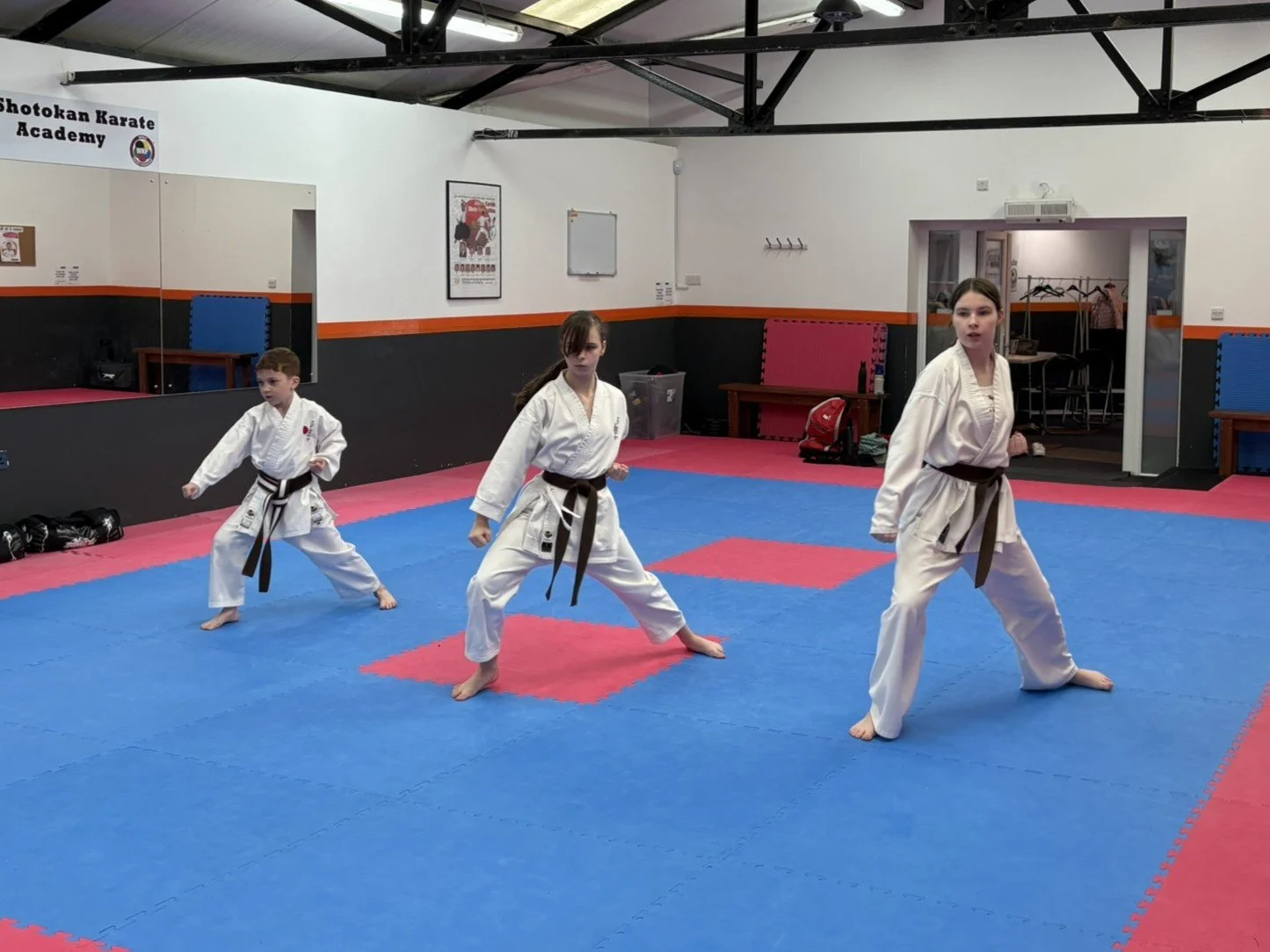 Brown belt kihon 3.JPEG