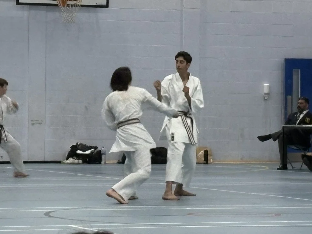 Yasuki kumite.JPEG